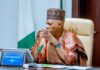 ‘My Friend Secured Oil Block Without Political Connections’ — Shettima