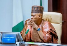 ‘My Friend Secured Oil Block Without Political Connections’ — Shettima