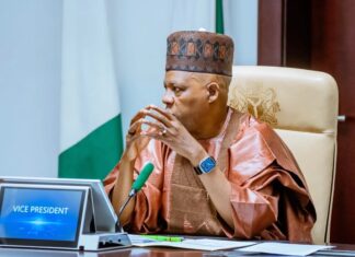 ‘My Friend Secured Oil Block Without Political Connections’ — Shettima