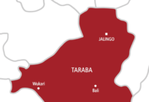 Woman Severs Husband’s Penis Over Alleged Infidelity in Taraba State