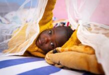Stop treating every childhood fever as malaria – Paediatrician